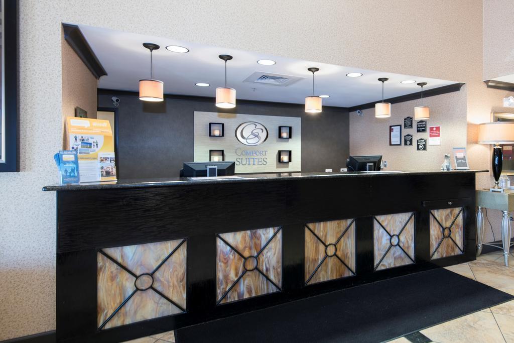 Comfort Suites- Near University Conway Bagian luar foto