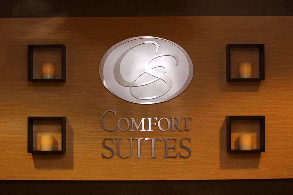 Comfort Suites- Near University Conway Bagian luar foto